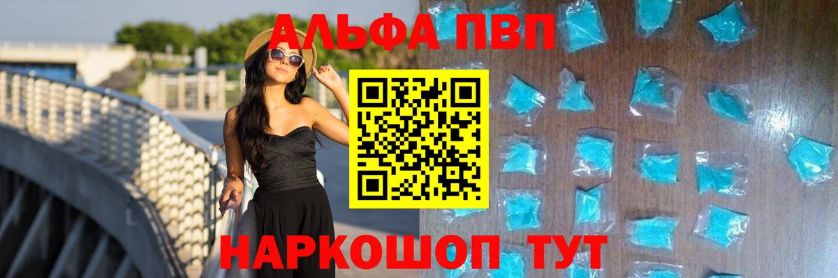 A PVP СК Нижний Новгород