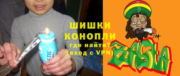прущие грибы Тавда