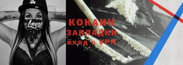прущие грибы Тавда