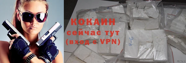 прущие грибы Тавда