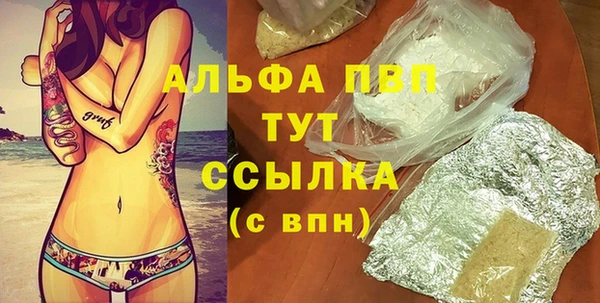 прущие грибы Тавда