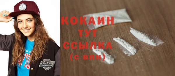 прущие грибы Тавда