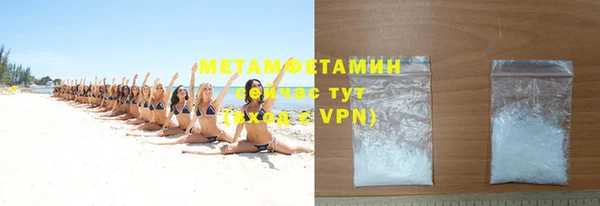 прущие грибы Тавда