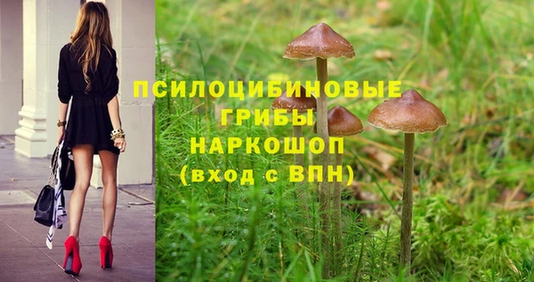 герыч Сясьстрой