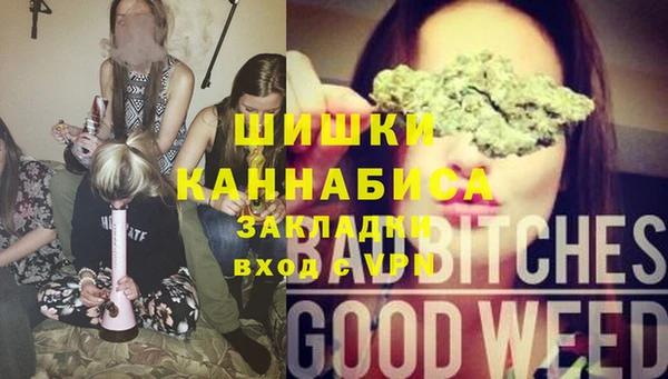 прущие грибы Тавда