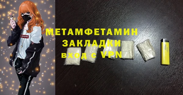 прущие грибы Тавда