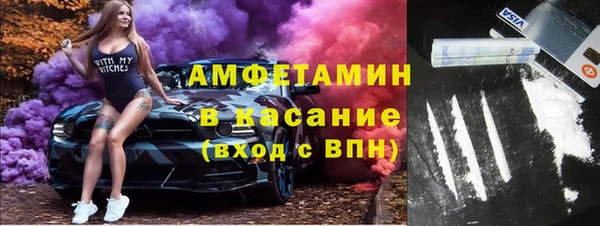 прущие грибы Тавда