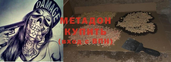 прущие грибы Тавда