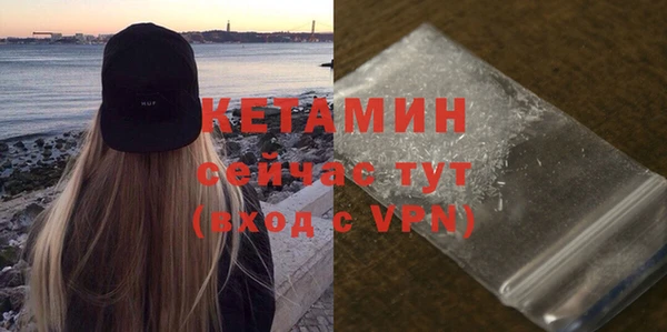 прущие грибы Тавда