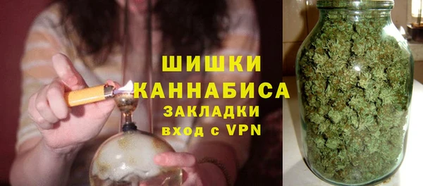прущие грибы Тавда
