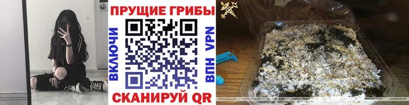 Псилоцибиновые грибы MAGIC MUSHROOMS  магазин продажи   Нижний Новгород 