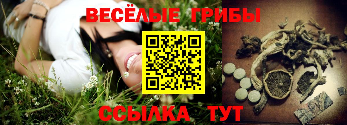 Нижний Новгород  Галлюциногенные грибы Cubensis  Вход с VPN 